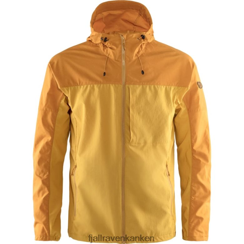 Ochre-Golden Yellow