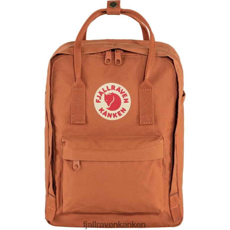 Terracotta Brown