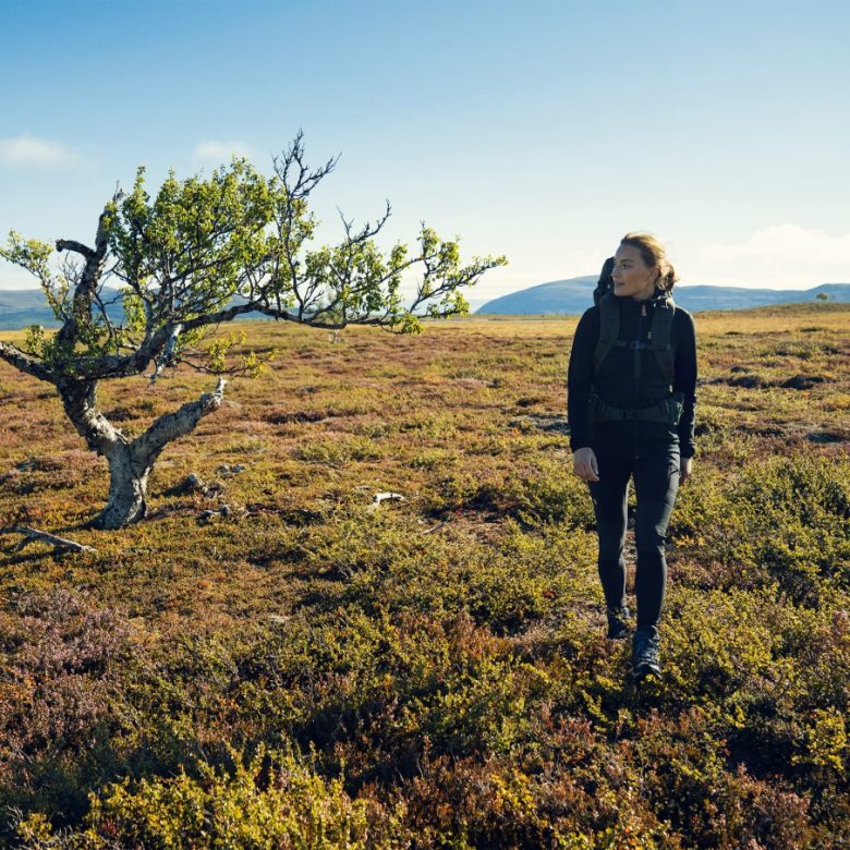 Fjallraven Sklep - Abisko Trekking Tights W Fjällräven Outlets Navy