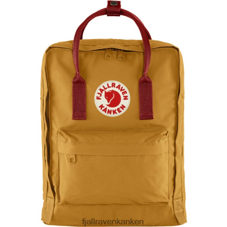 Acorn-Ox Red