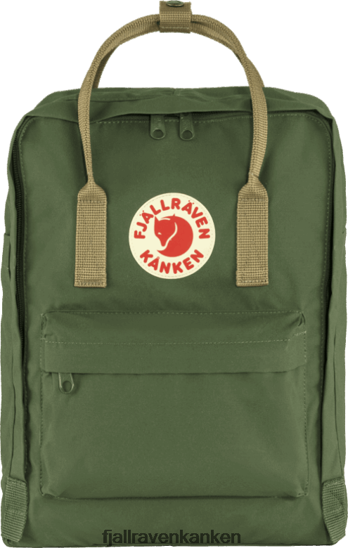 Spruce Green-Clay