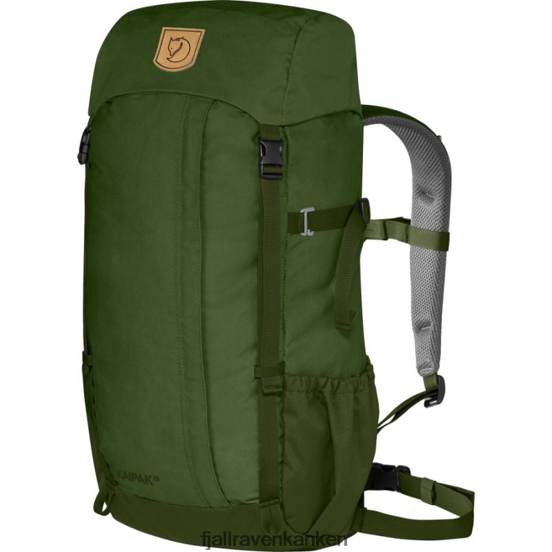 Pine Green