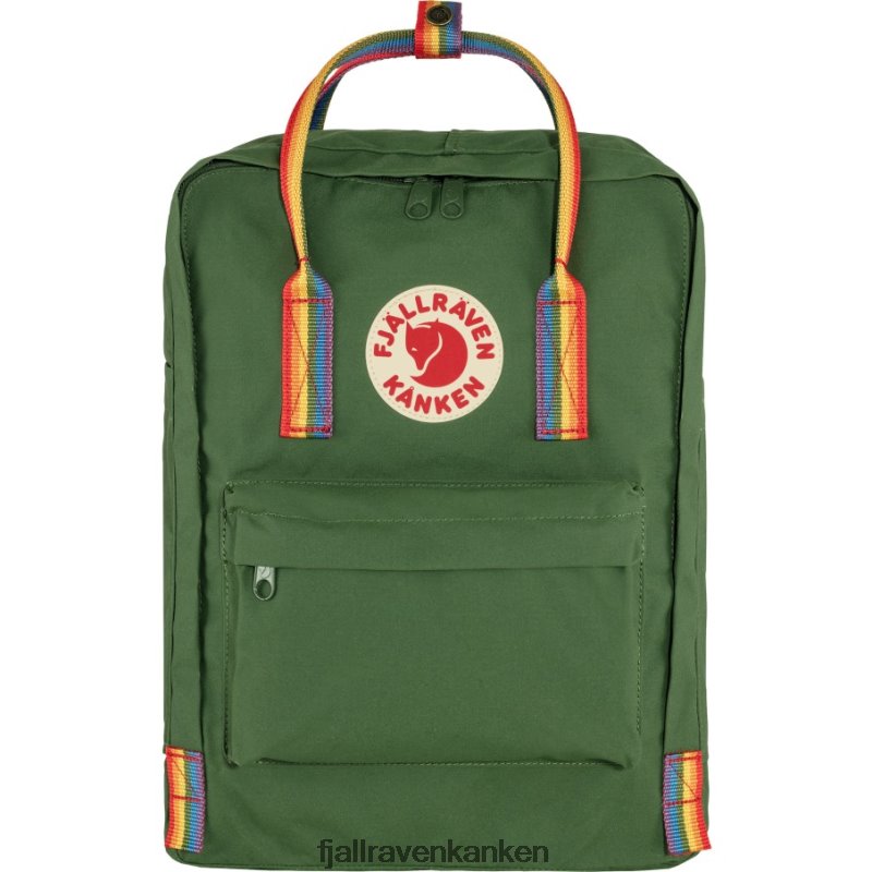 Spruce Green-Rainbow Pattern