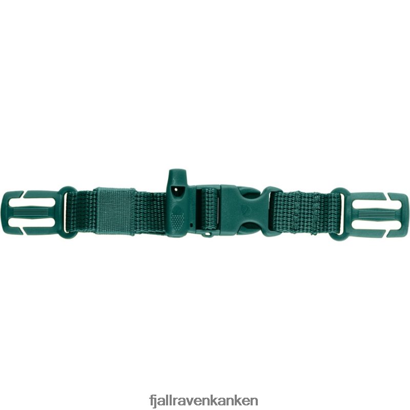 Arctic Green