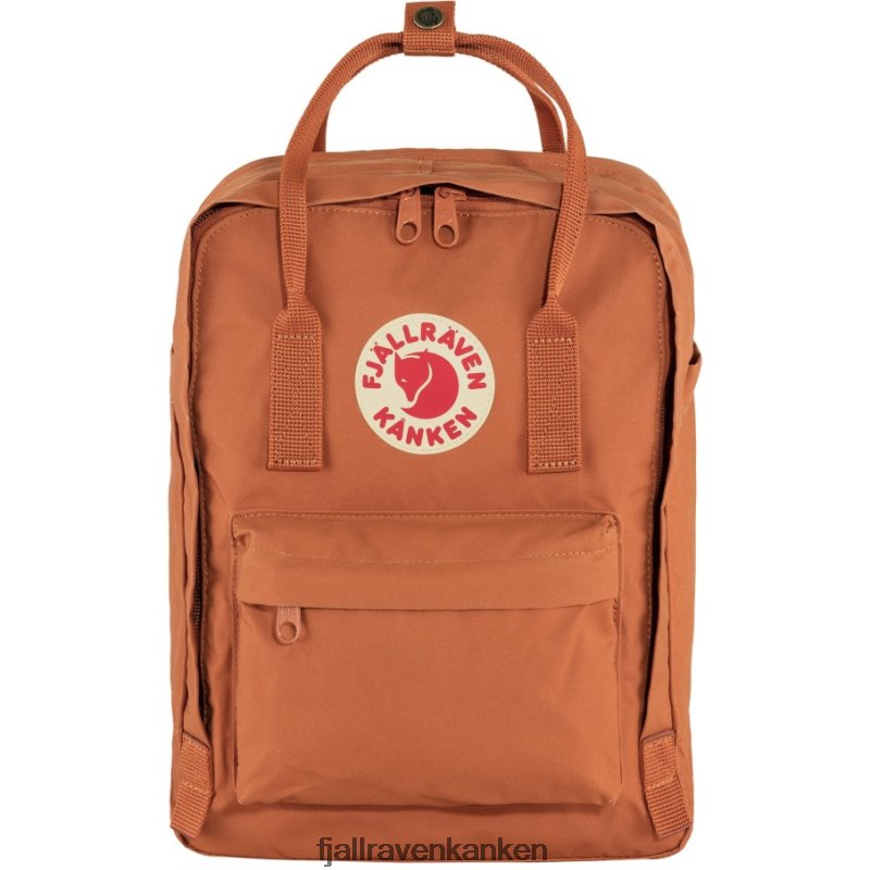 Terracotta Brown