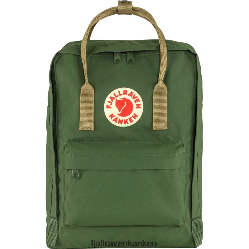 Spruce Green-Clay