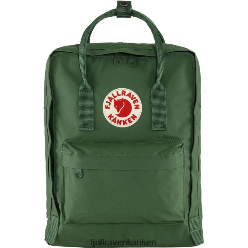 Spruce Green