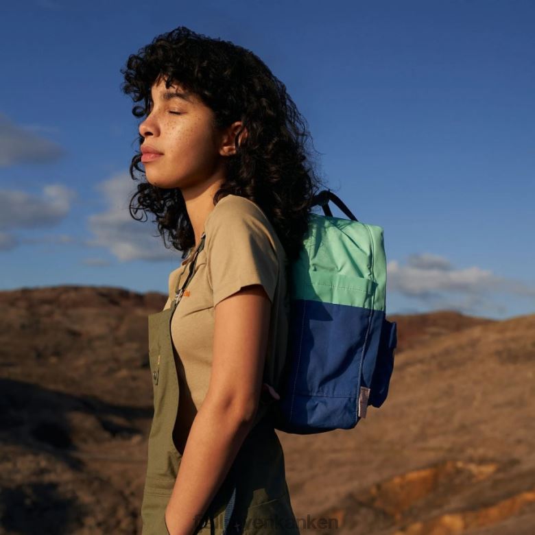 Fjallraven Sklep - Fjällräven Outlets Coast Line-Sky Kånken Art
